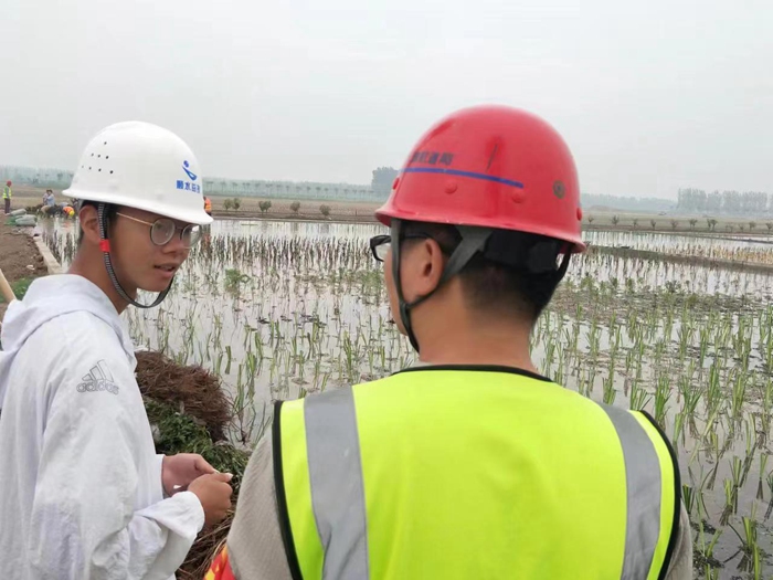 潜流湿地种植